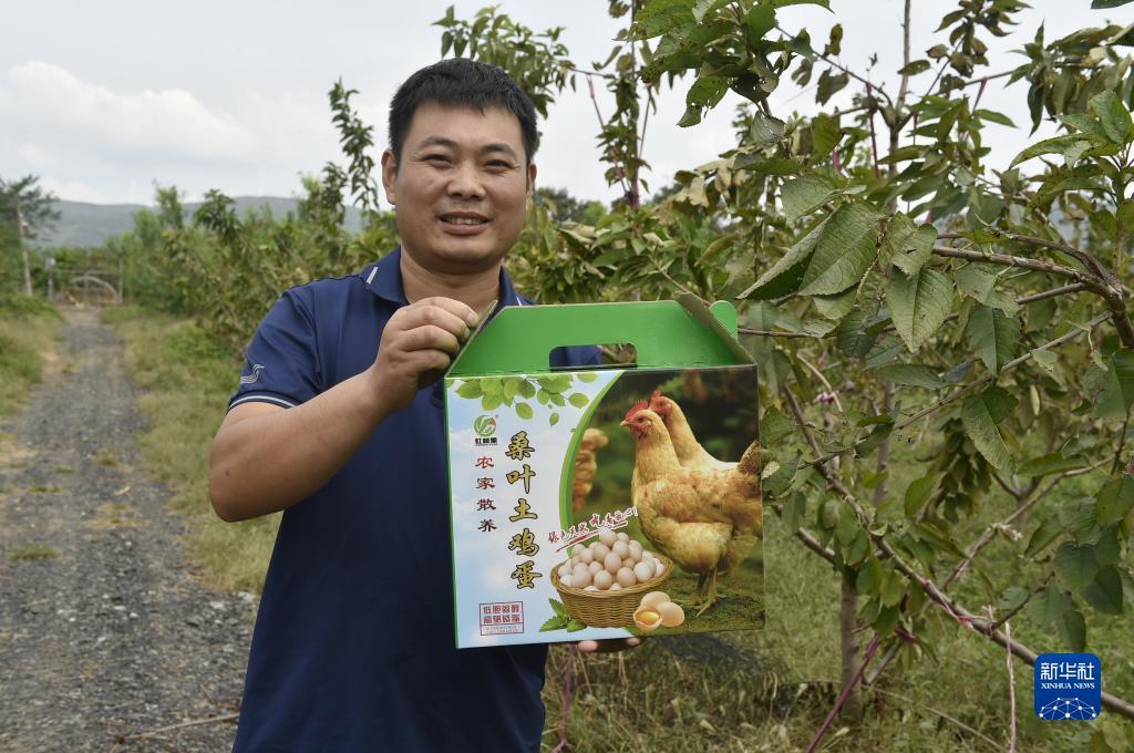 乐游游戏盒子